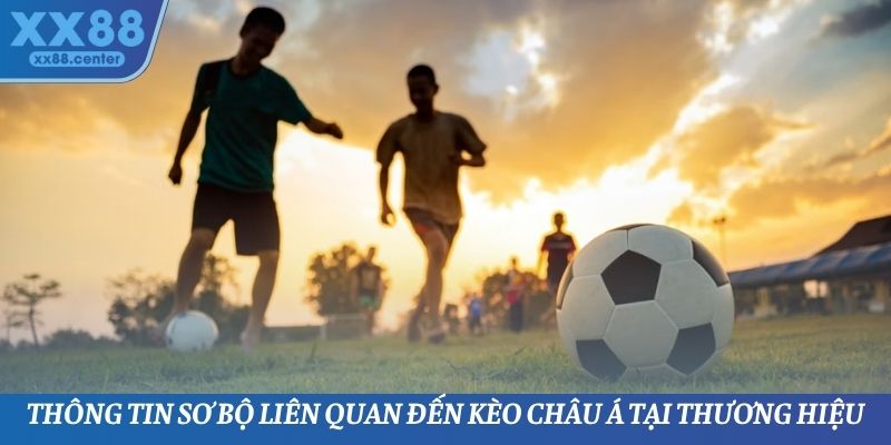Kèo Châu Á XX88 - Tham Gia Cá Cược Một Cách Thông Minh - SPINVEX88.SURF